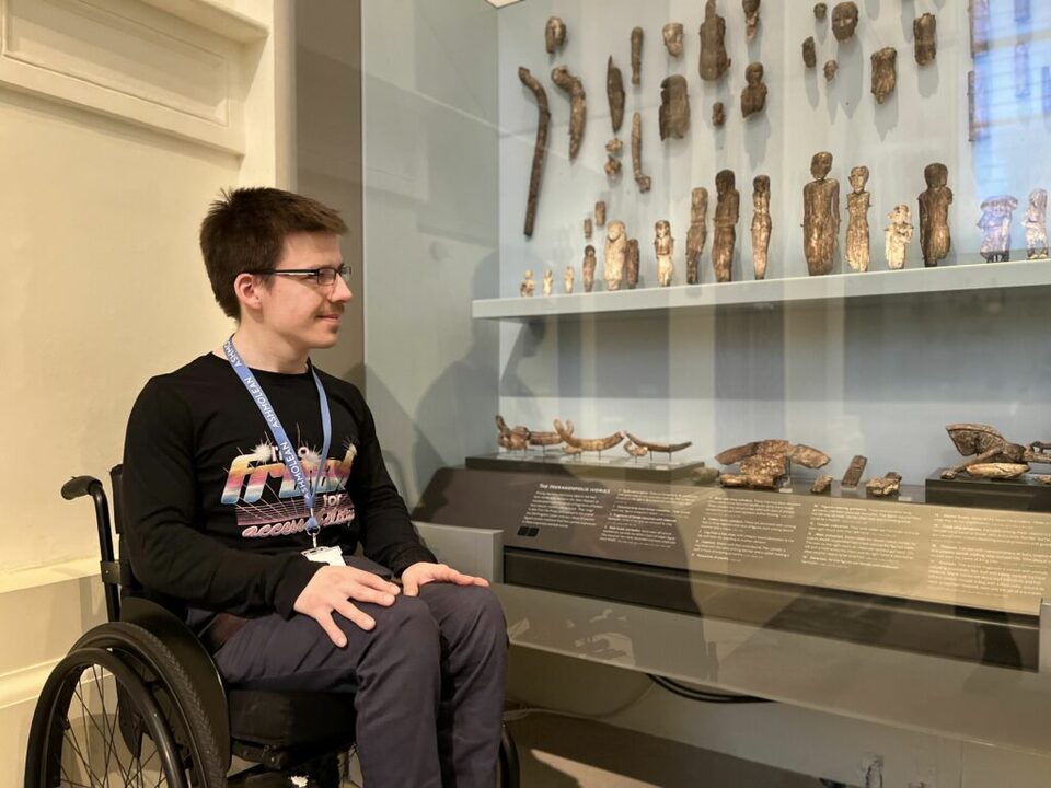 A person in a wheelchair is observing a display of ancient artifacts in a museum. The artifacts are arranged on shelves and include various tools, bones, and other historical items.